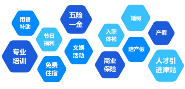 提供全面、系统、专业的培训和广阔的<br>职业发展空间和提升机会